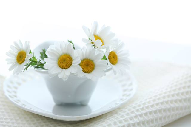 ���烊�t�g